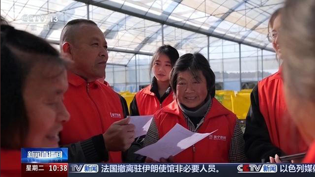 无人机植保+数字化管控“00后种菜班”让智慧种菜成为田间日常